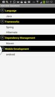 Software Job Interview