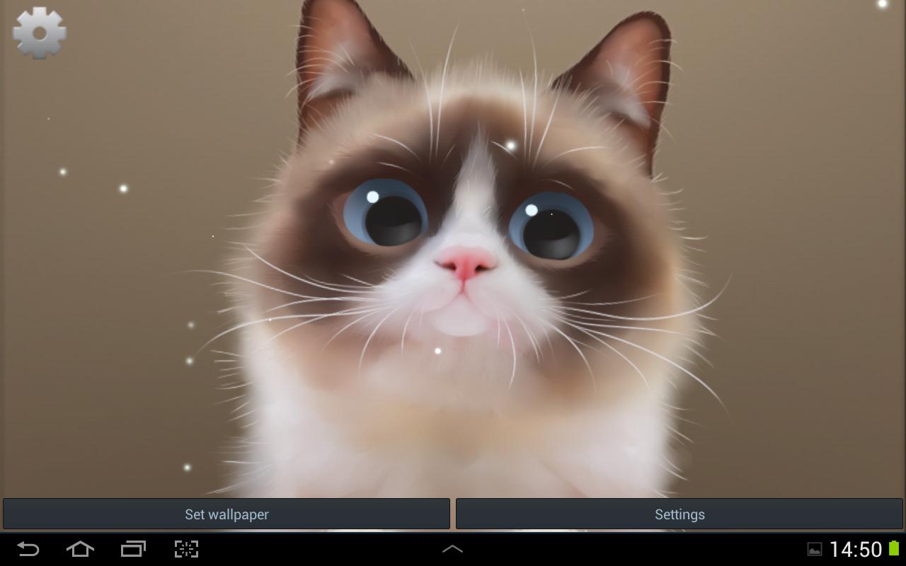 Shui The Kitten Lite