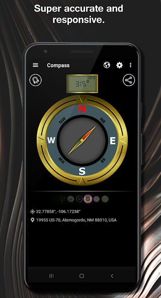 DS Compass