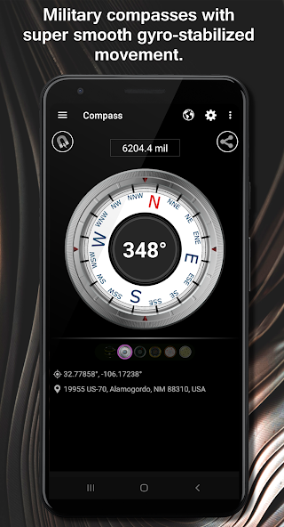 DS Compass