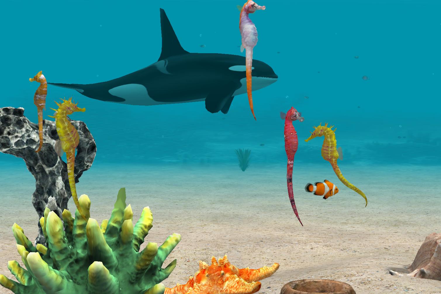 Seahorse 3D