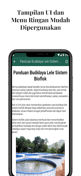 Panduan Budidaya Lele Bioflok