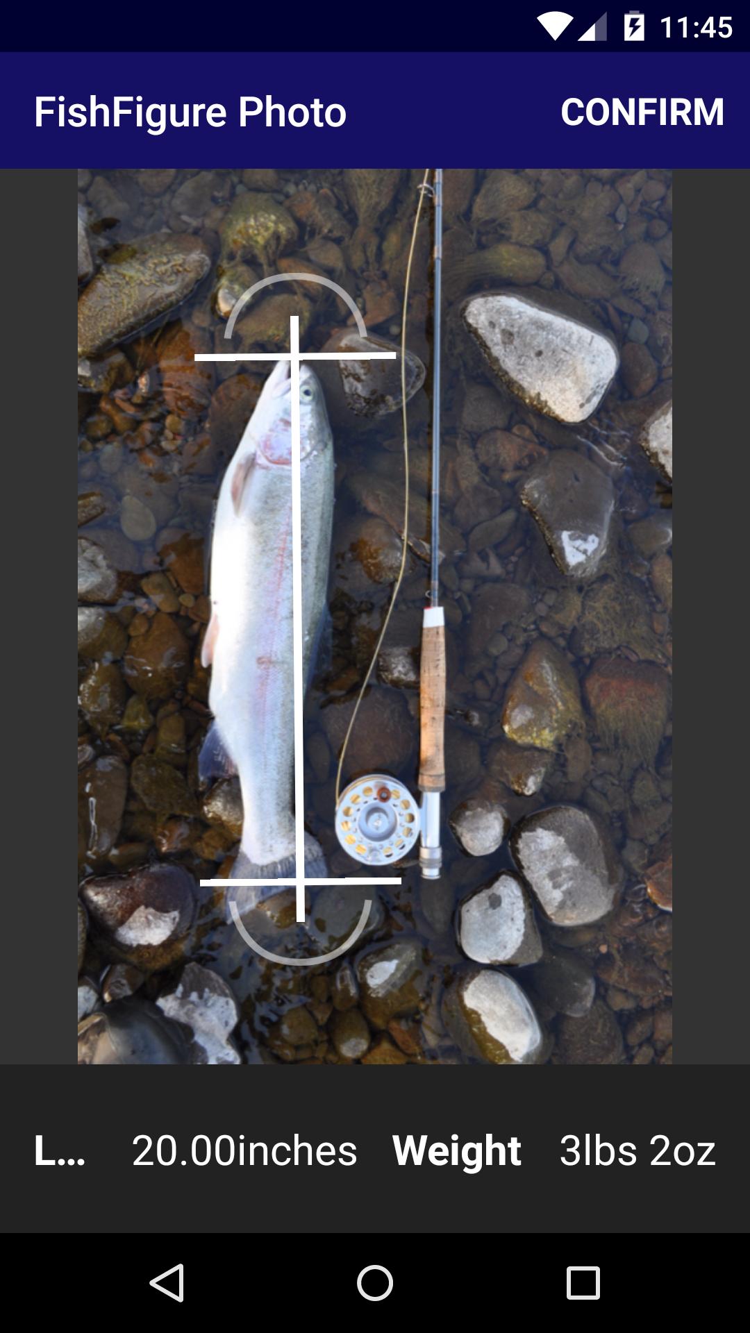FishFigure