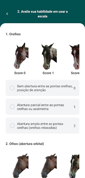 Vetpain