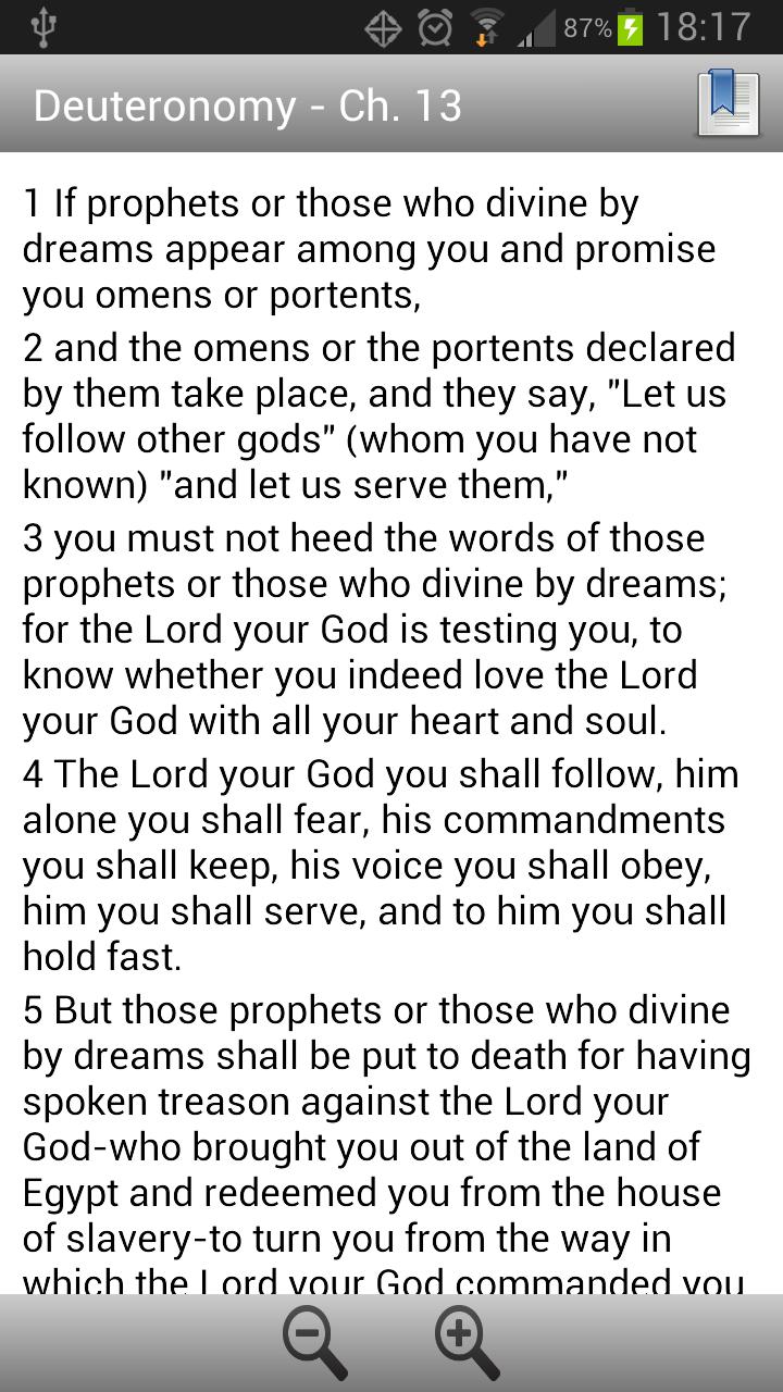 NRSV Bible