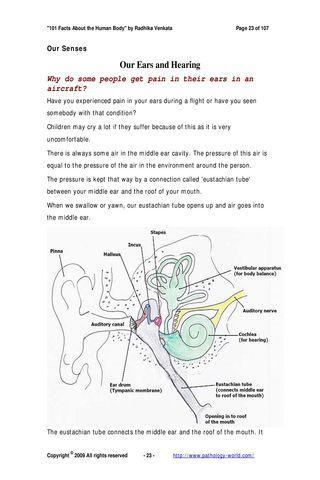 101 Facts - the Human Body Pv