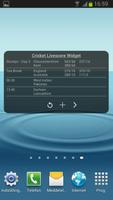 Cricket Livescore Widget