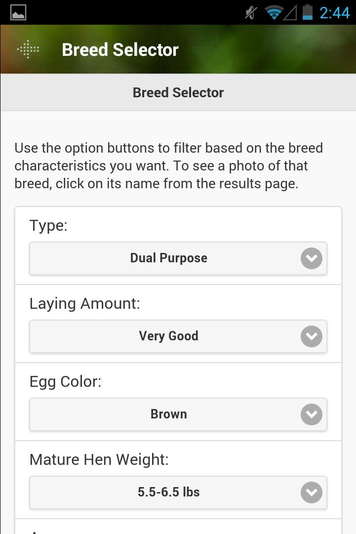 Cluck-ulator