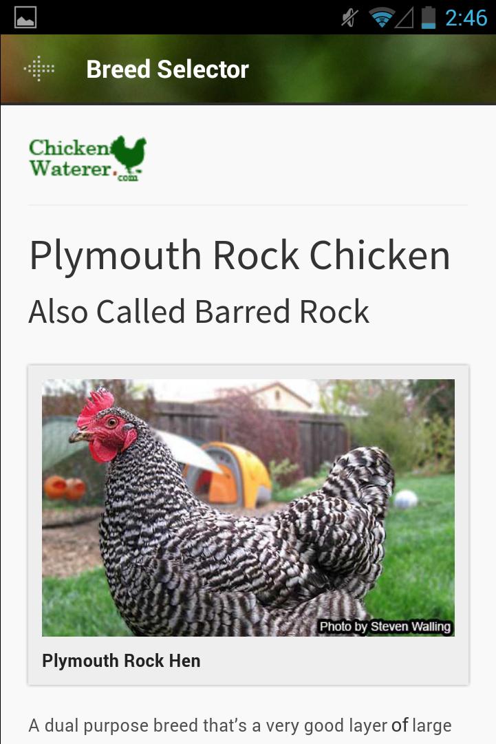 Cluck-ulator