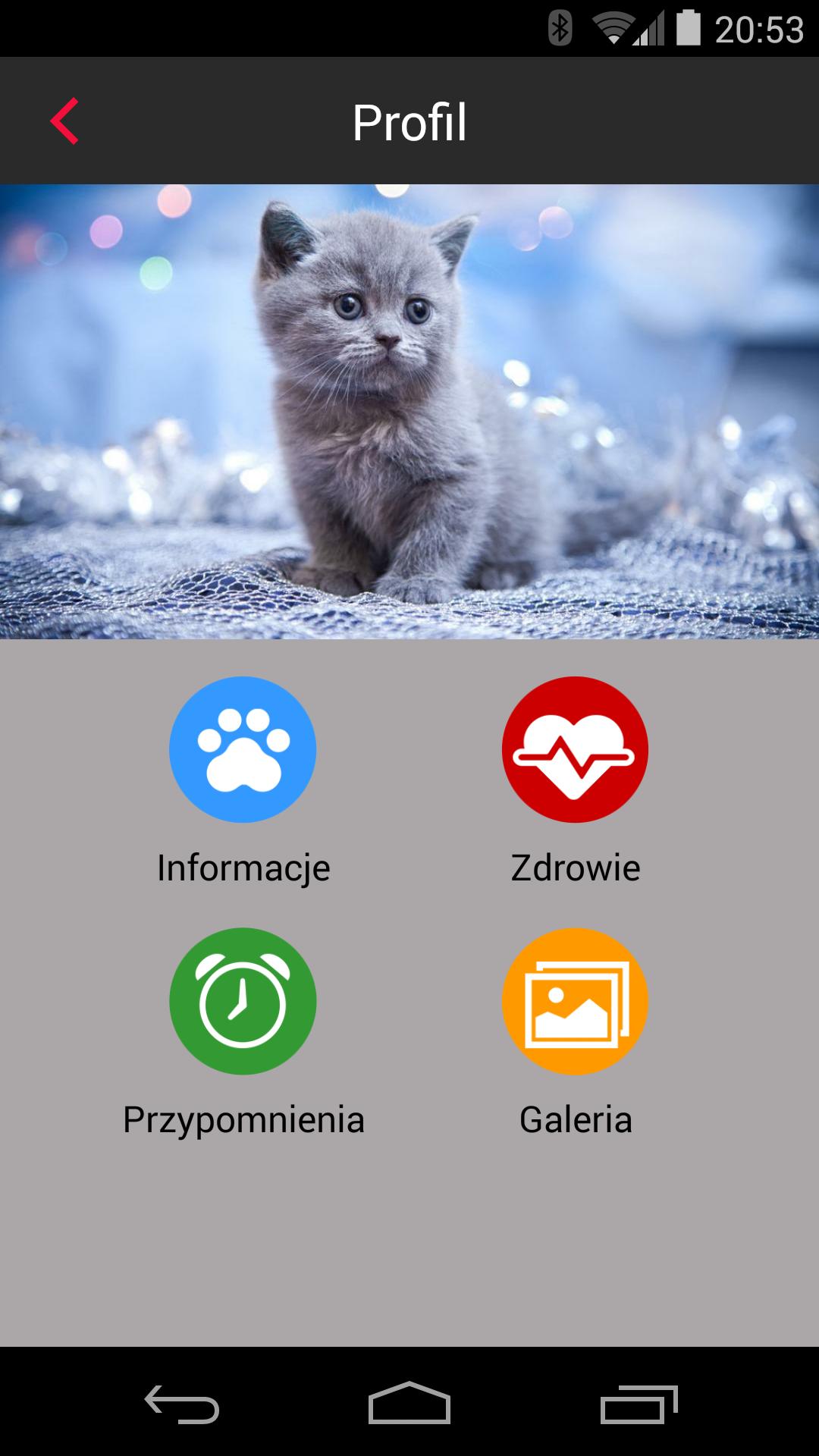 Modern Pet