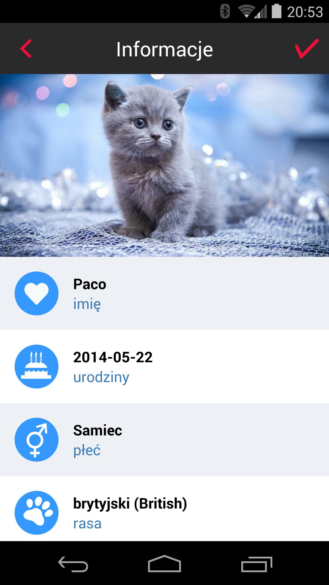 Modern Pet