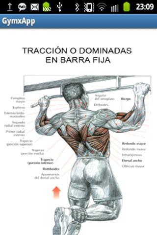 gymxapp