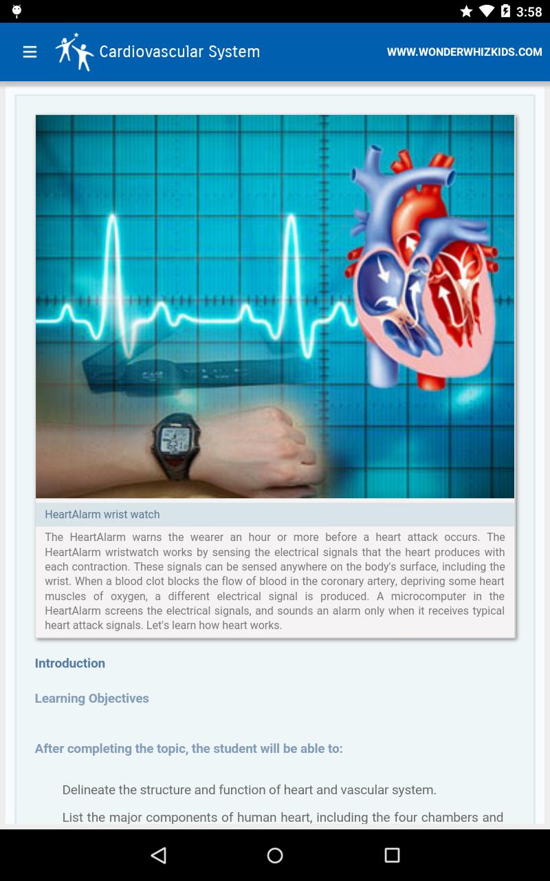 Cardiovascular System
