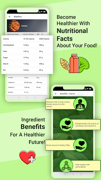 Italian Food Recipes Offline