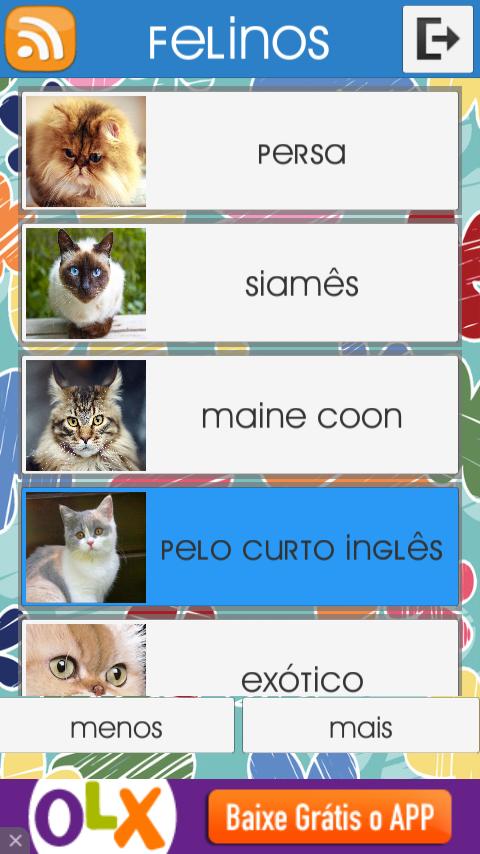 Felinos