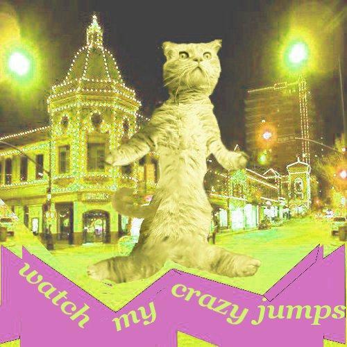 Cat Dancing