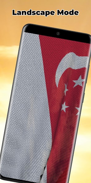 Singapore Flag