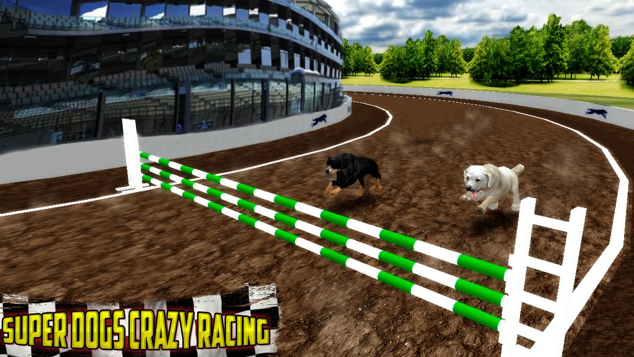 Ultimate Dog Race: greyhound Derby Race
