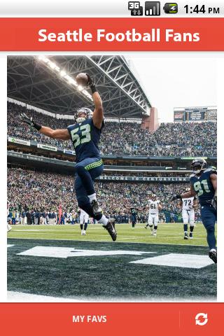 Seattle Football Fans