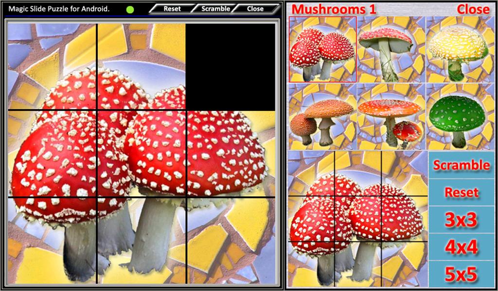 Magic Slide Puzzle Mushrooms 1