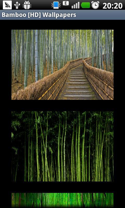 Bamboo [HD] Wallpapers