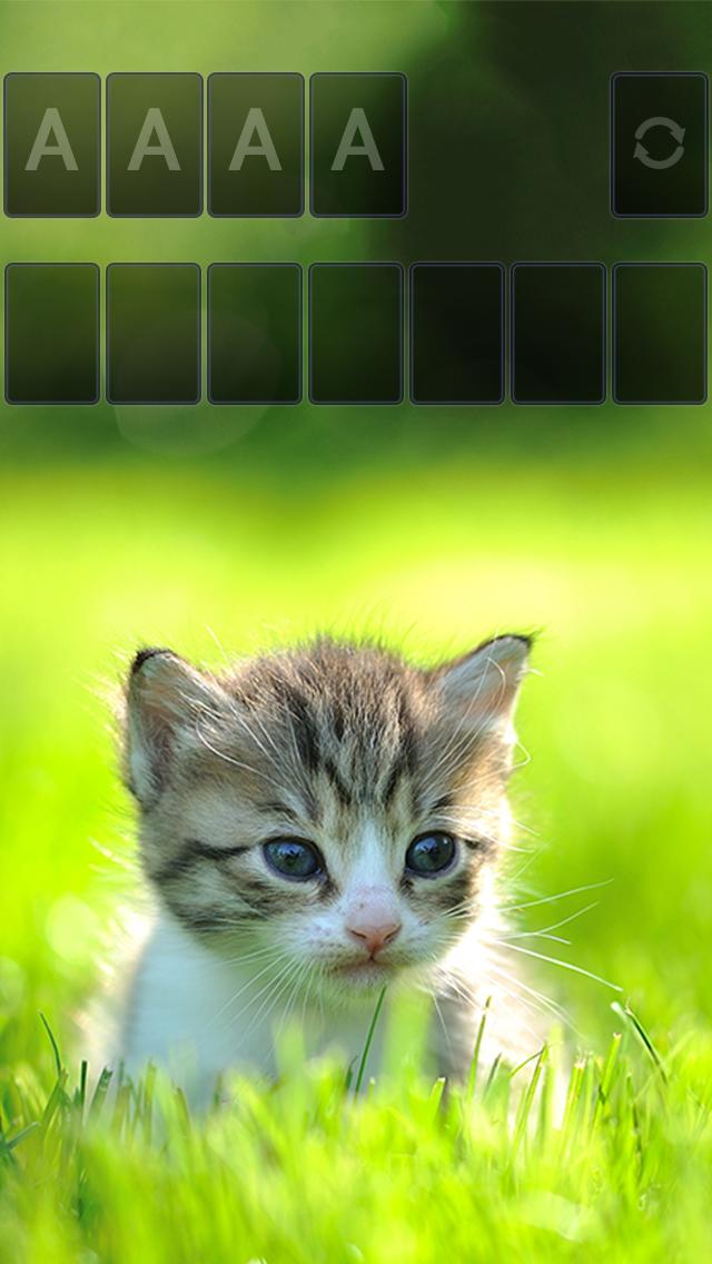 Solitaire Little Cat Theme