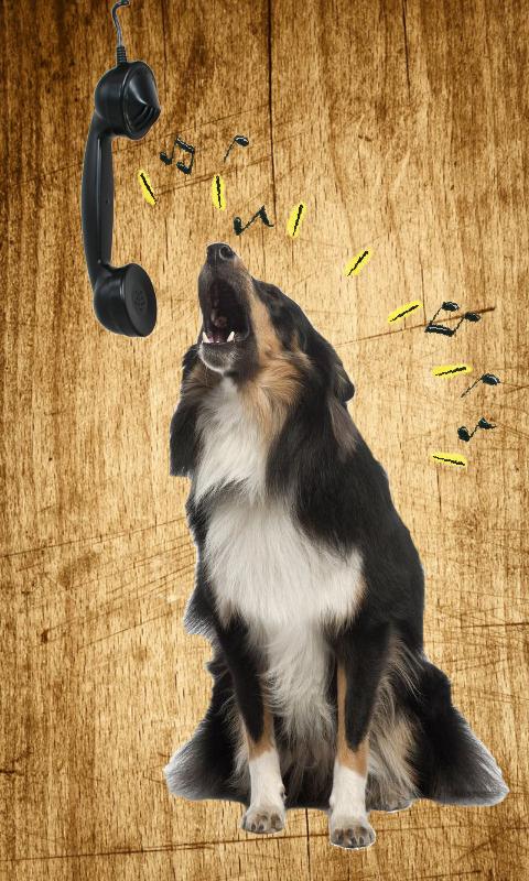 Barking Dog Ringtones