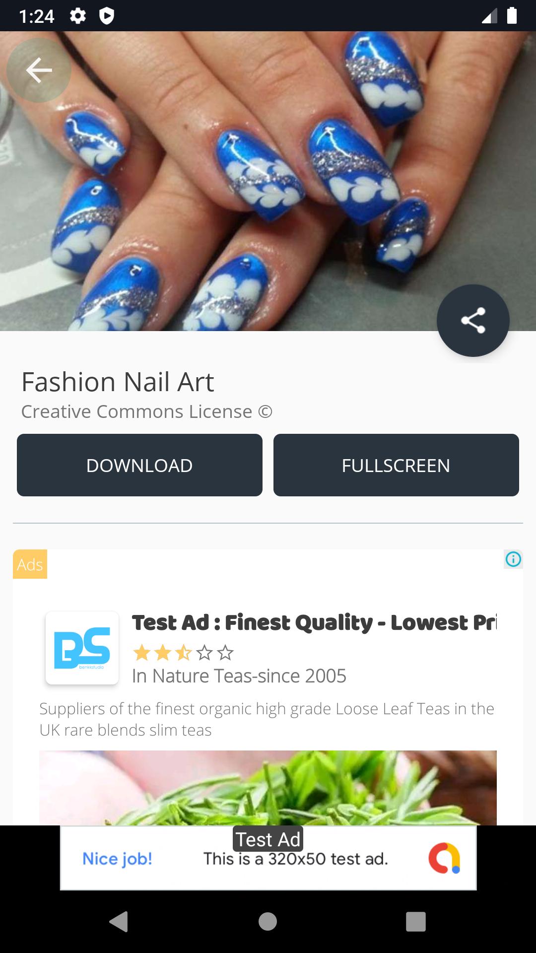 Fashion Nail Art