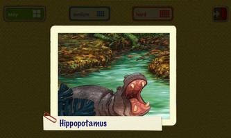 Animal Memory for kids