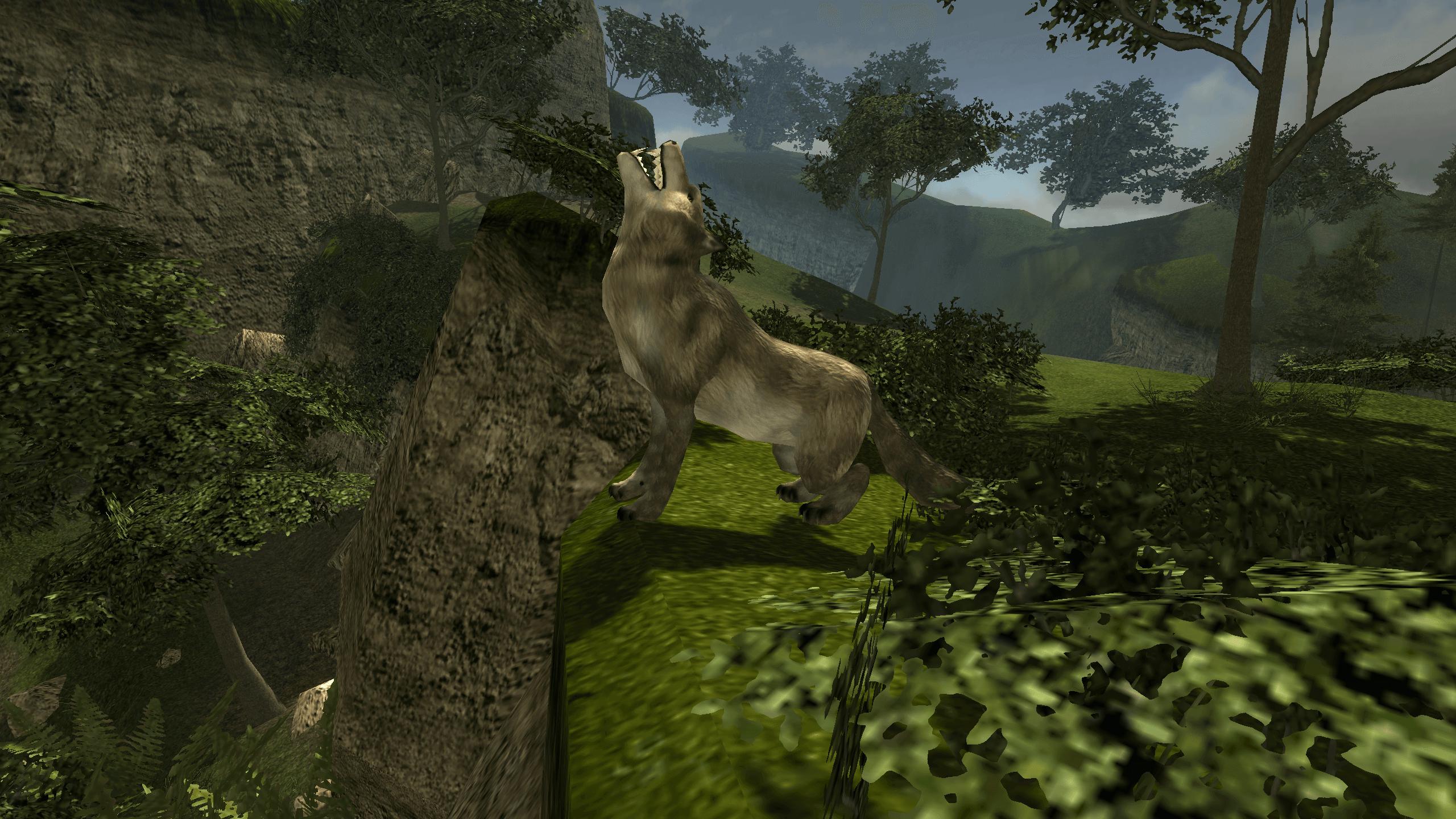 Dire Wolf Simulation 3D