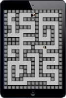 Ninja in The Maze USA