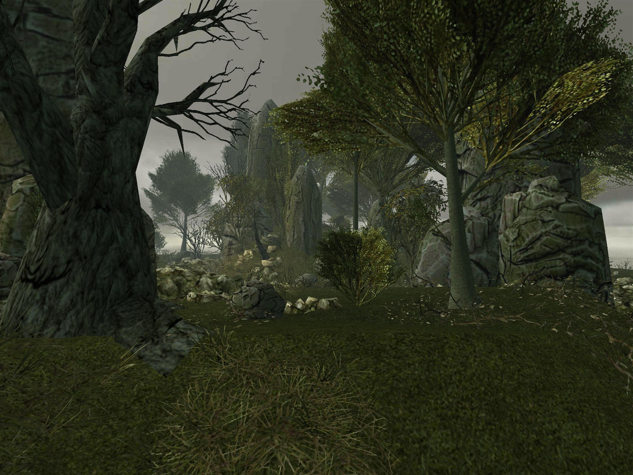 VR Relax Autumn 3D Cardboard