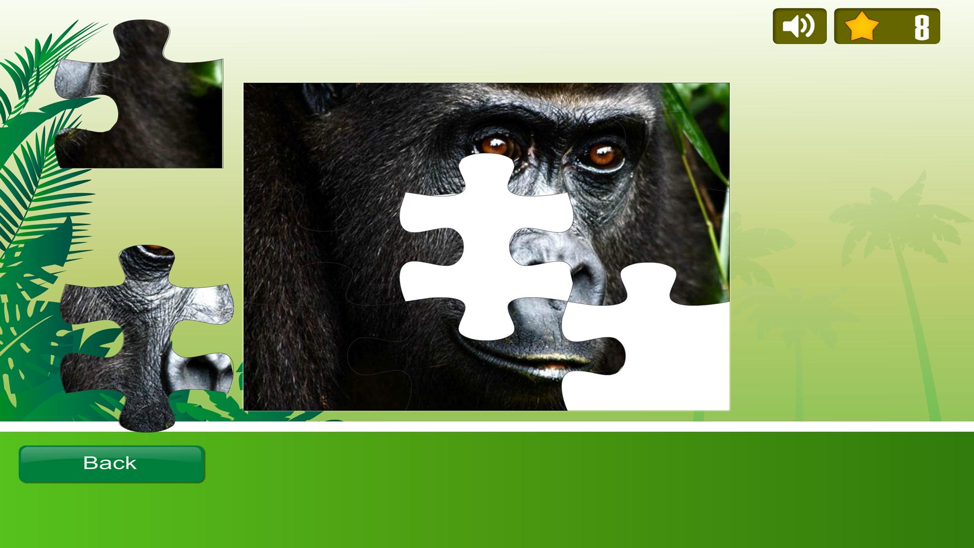 Rainforest Animals Puzzle