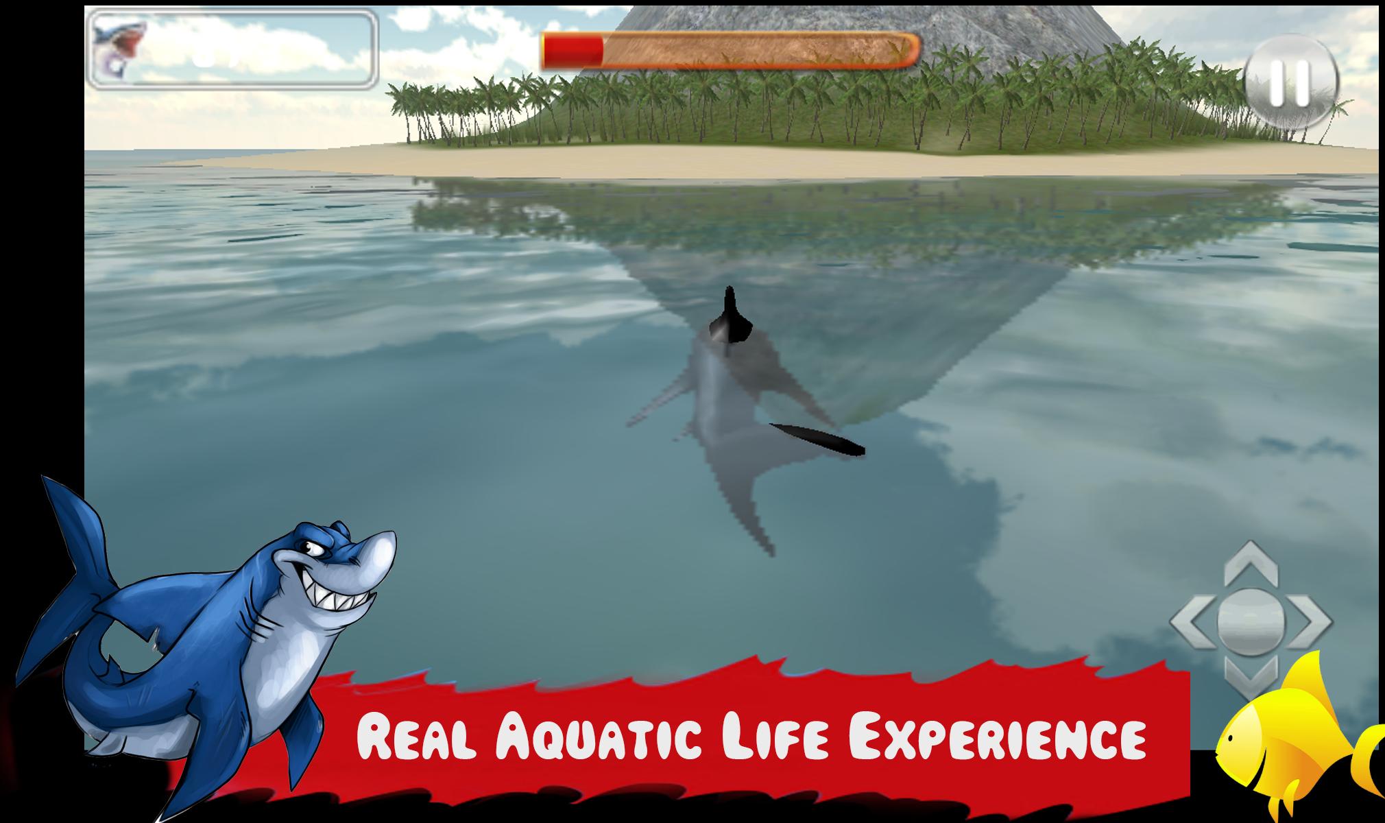 Wild Shark Angry Attack