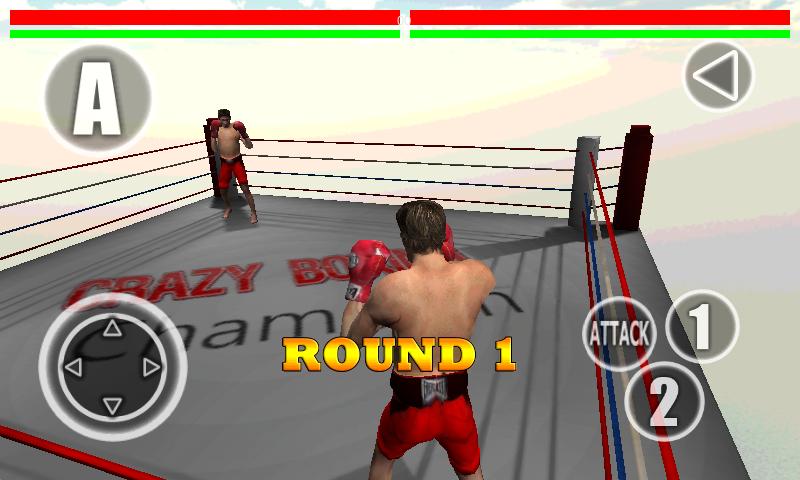 Crazy Boxing 3D