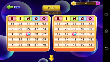 Bingo Spin Challenge