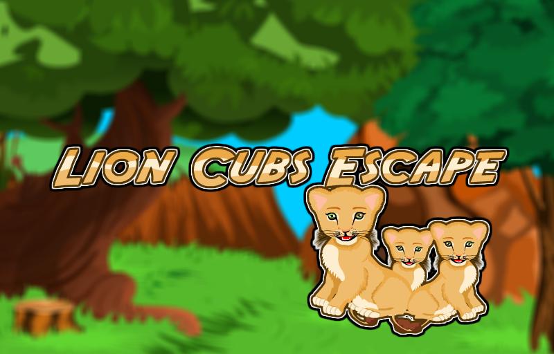 ESCAPE GAMES-JOY 507