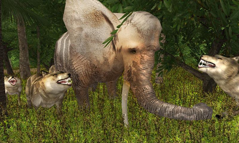 Real Wolf Simulator Survival