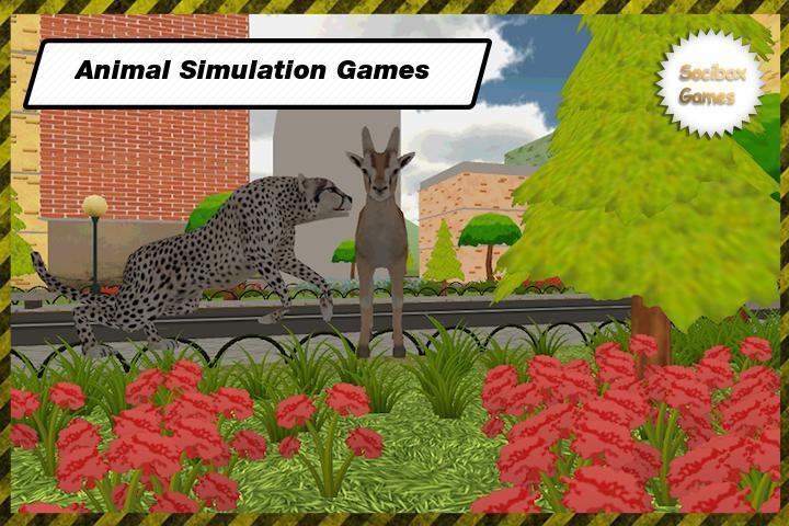 Wild Leopar Simulation