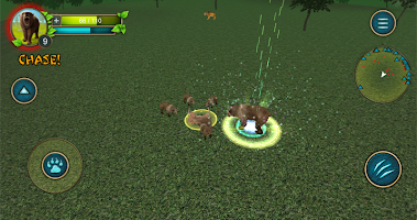 Grizzly Bear Simulator