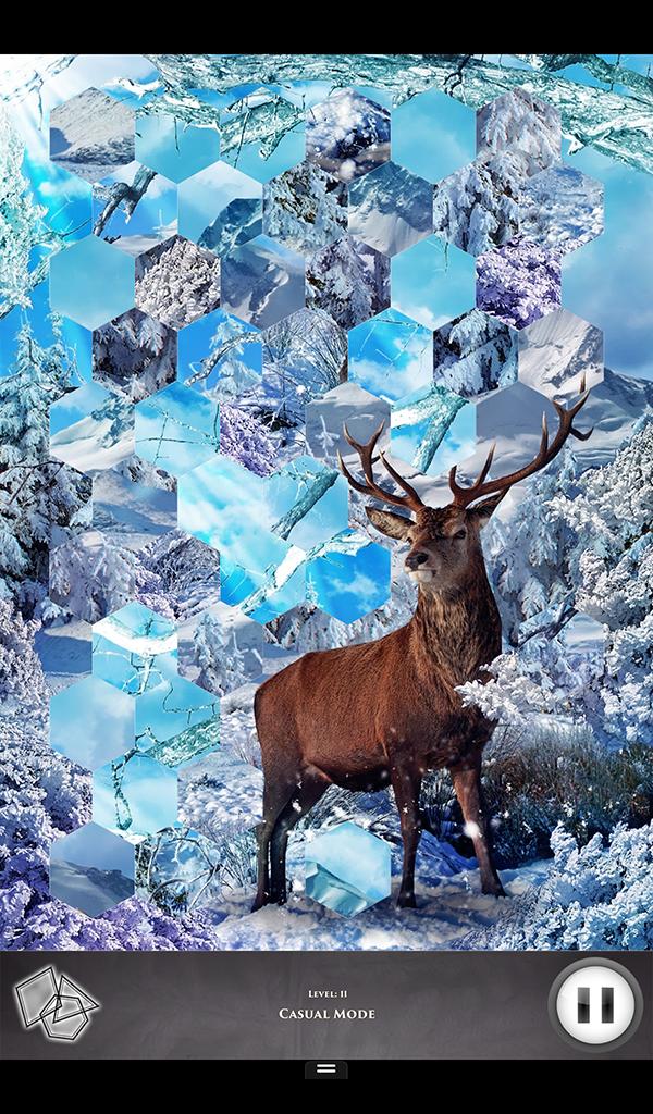 Hidden Scenes Winter Creatures