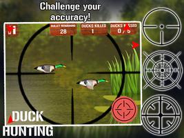 Duck Hunting