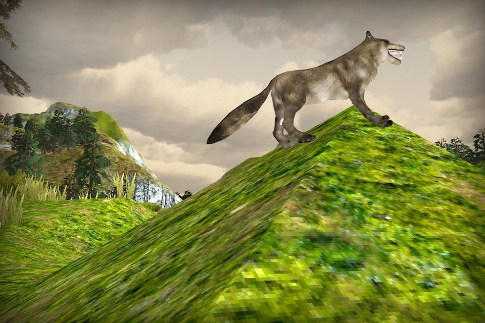 Angry Wolf 3D Simulator