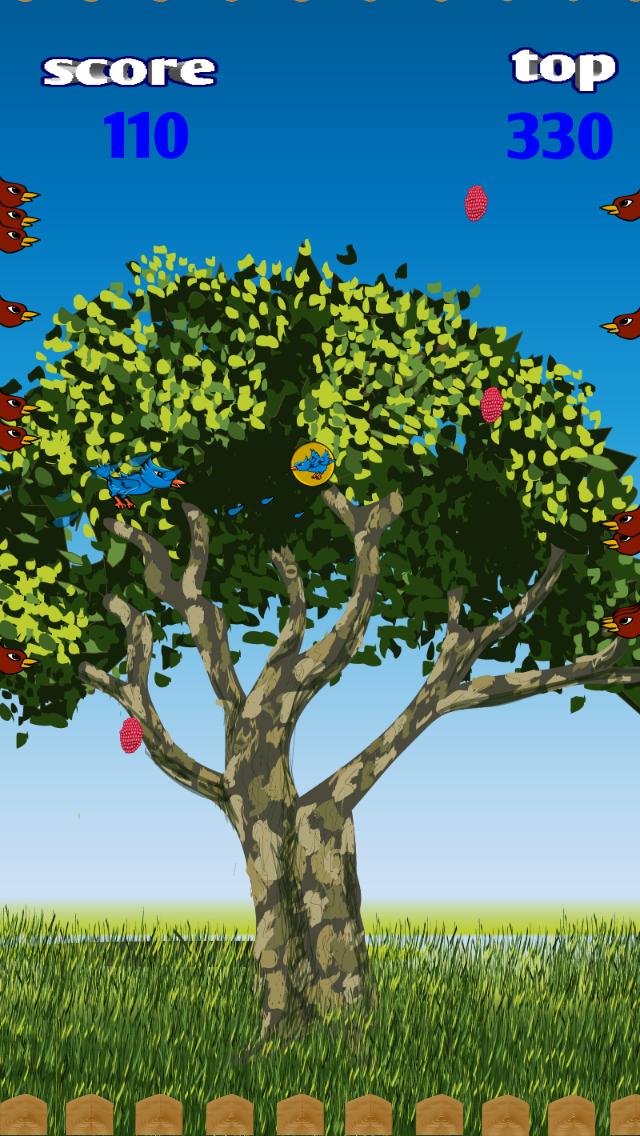 Berry Jay