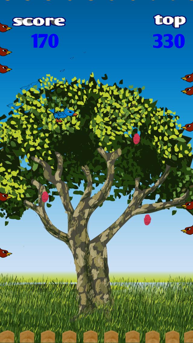 Berry Jay