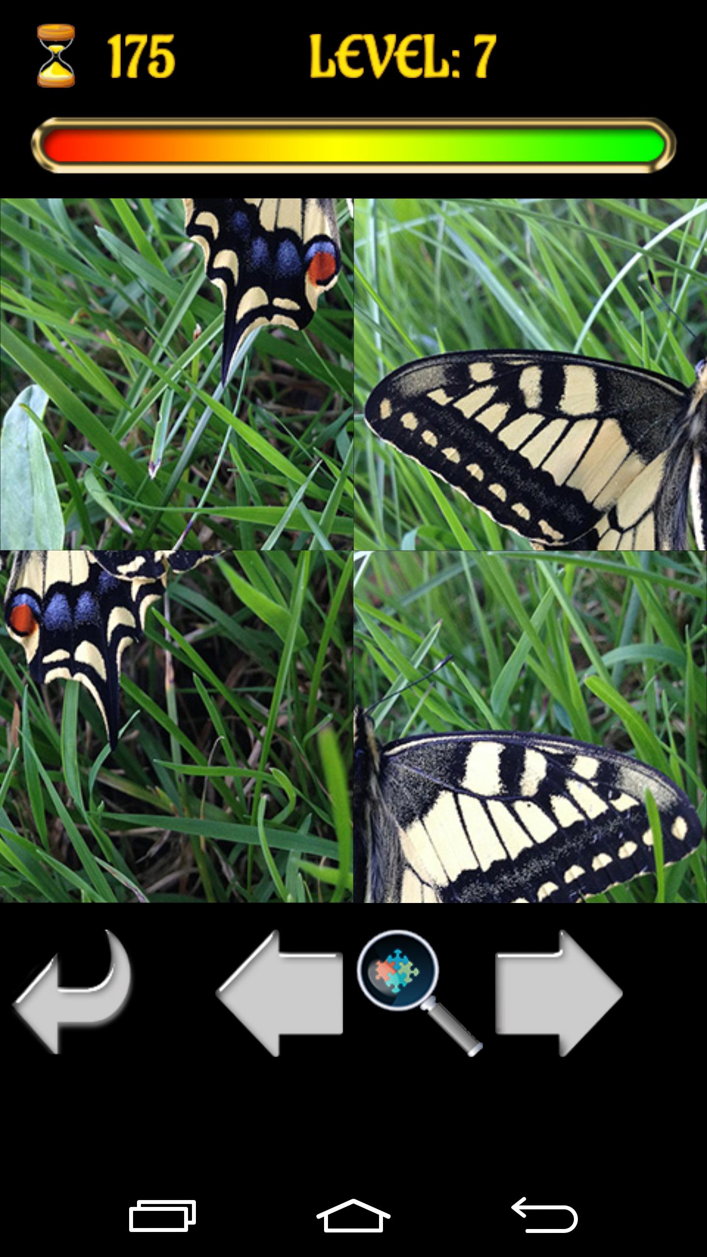 Puzzle Butterfly