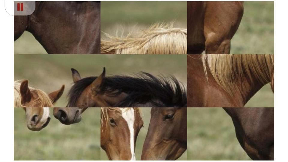 Horse Puzzle Jigsaw for Kids
