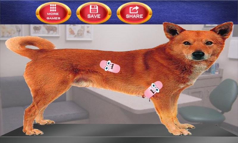 Kids Pets Doctor