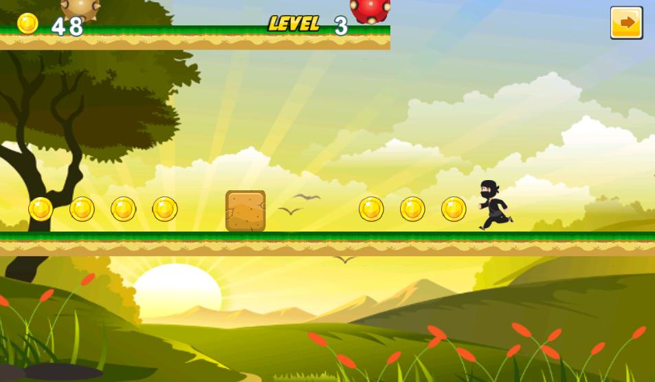 Super Ninja Adventure