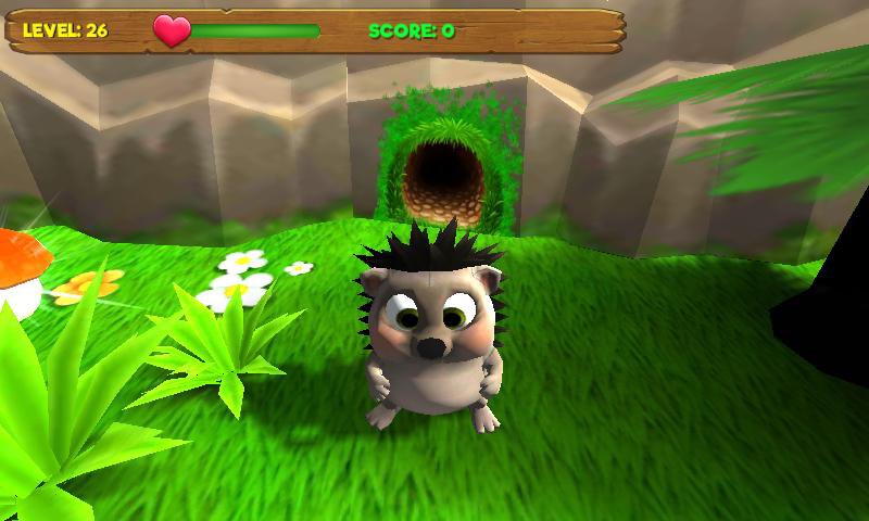 Hedgehog goes home